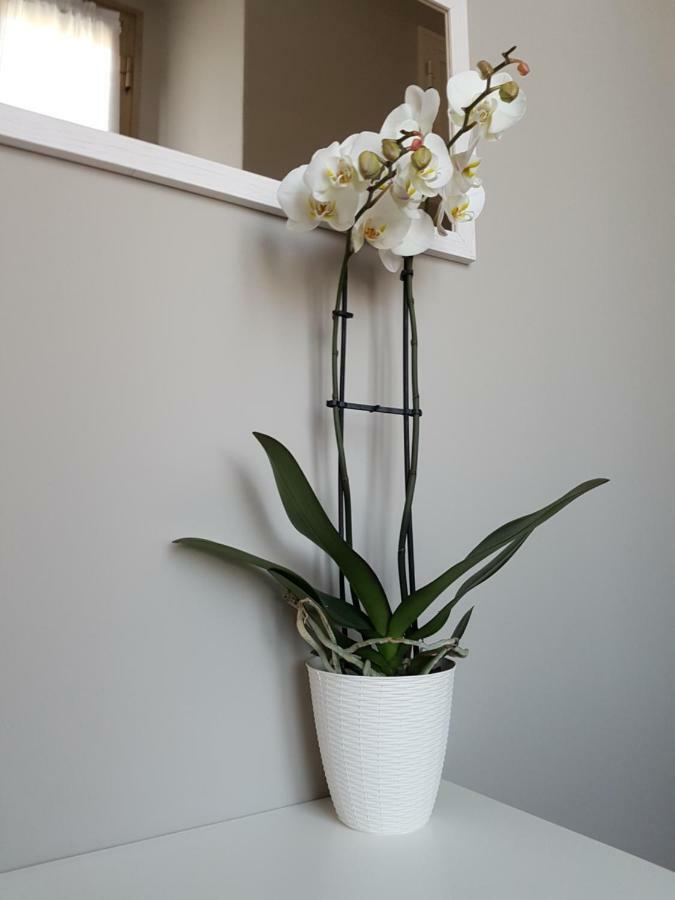 Casa Bruna แวร์บาเนีย ภายนอก รูปภาพ